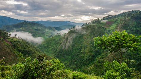 rwanda travel blog